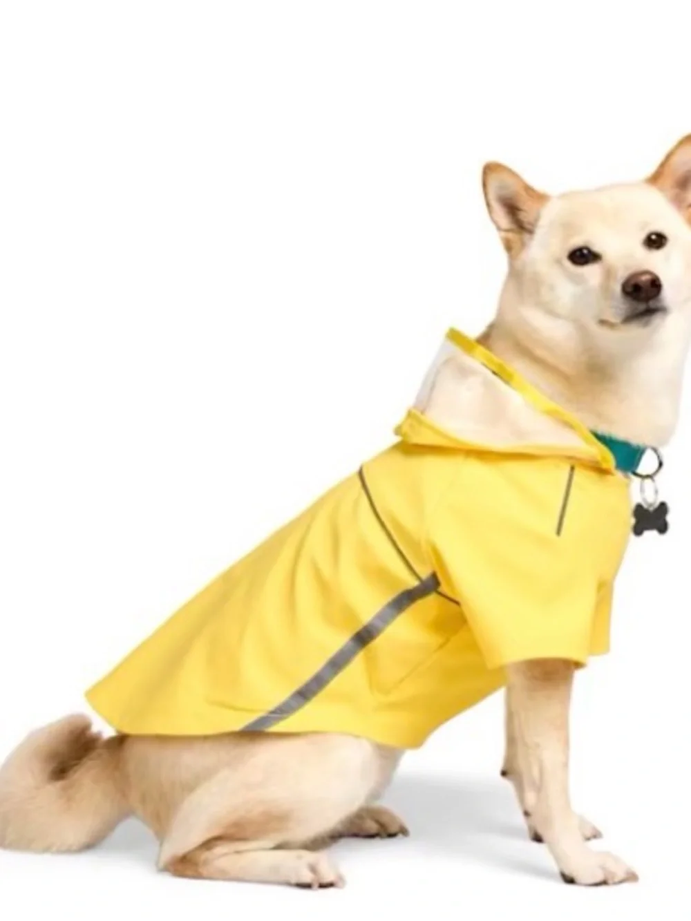 Youly Yellow Dog Raincoat with Reflective Trim - Waterproof Pet Jacket